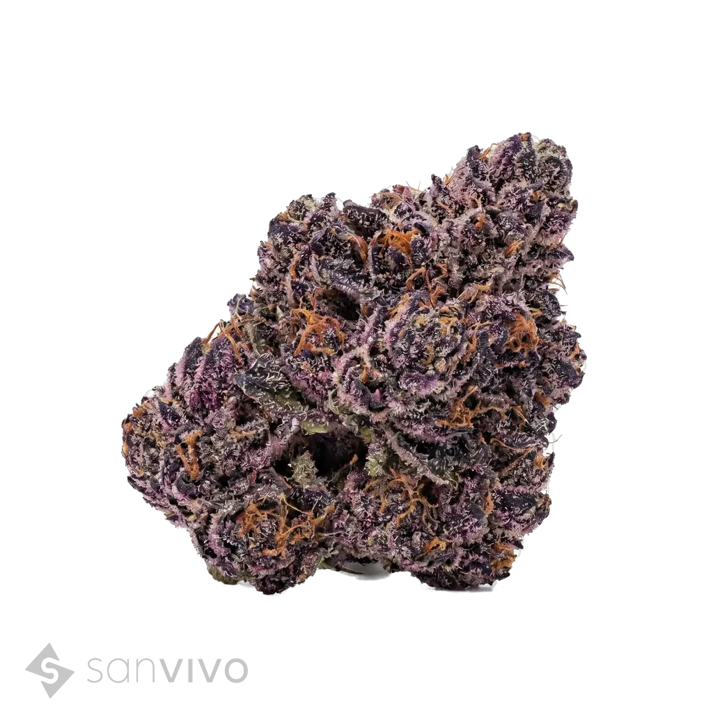 NICE 20/1 DD (Beispielbild)